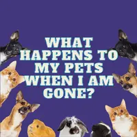 What Happens to My Pets When I Am Gone?